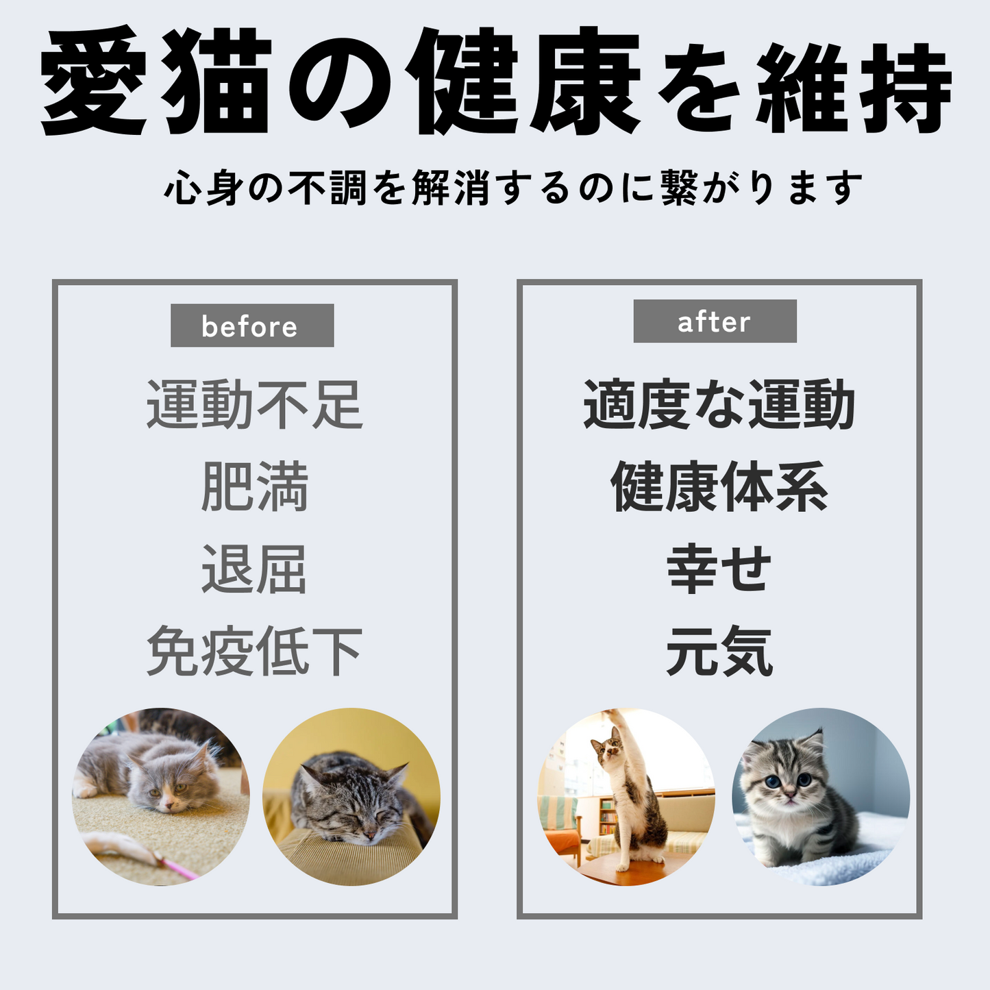 キャットレーザー(自動レーザーおもちゃ)