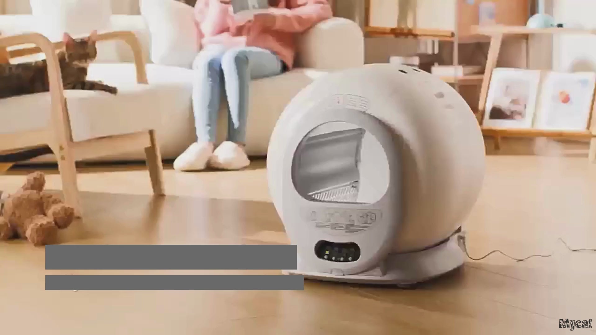 動画を読み込む: 